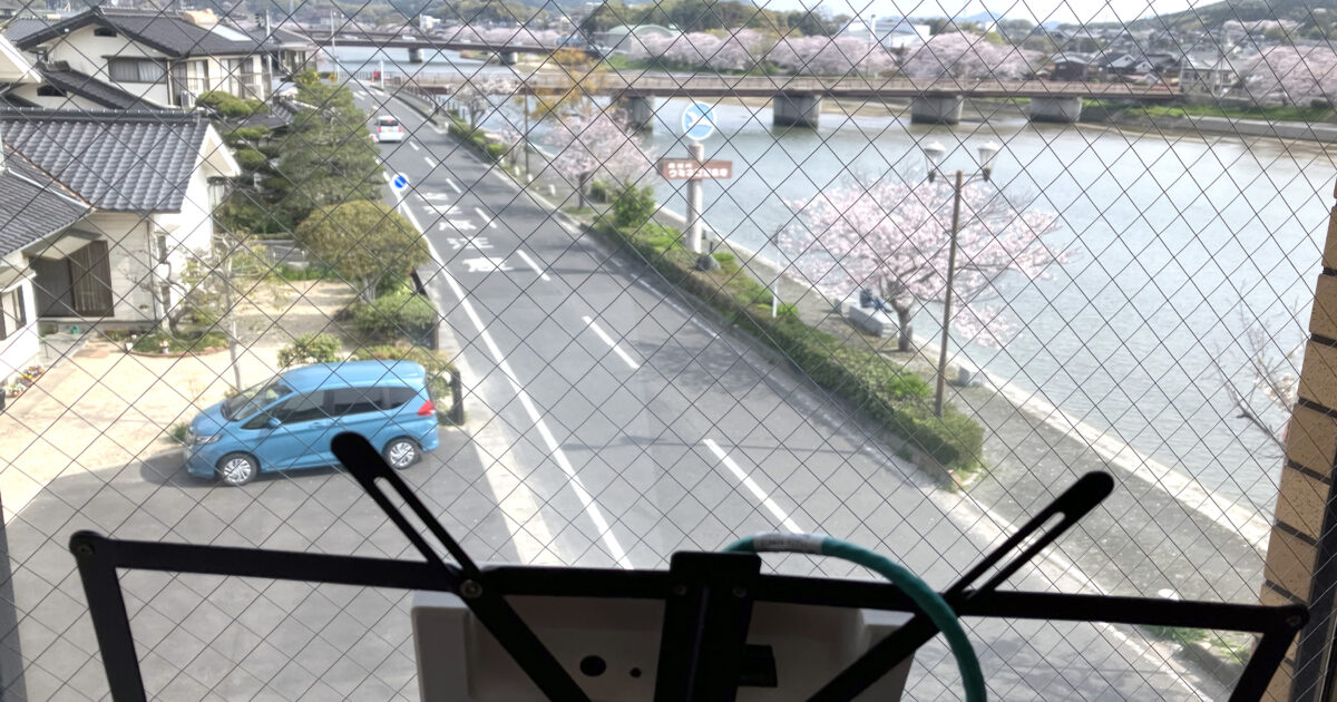 画像：島田川の桜のライブカメラ＆屋外での作業向けにWi-Fiアンテナを設置しました